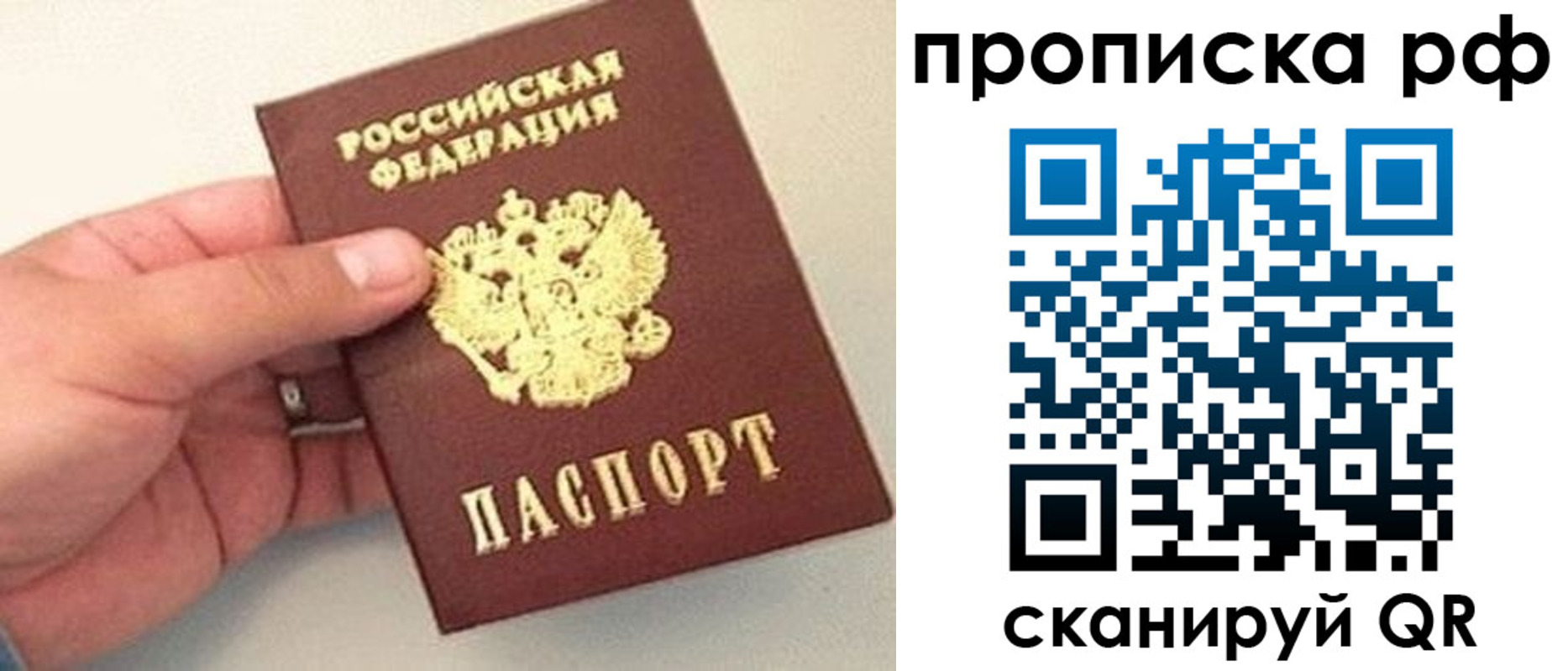 временная регистрация для всех в Завитинске